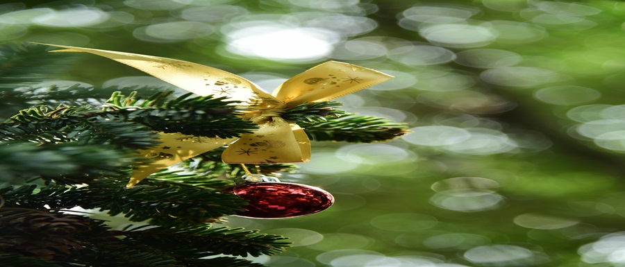 pexels-soc-nang-d-ng-2150345854-35107717