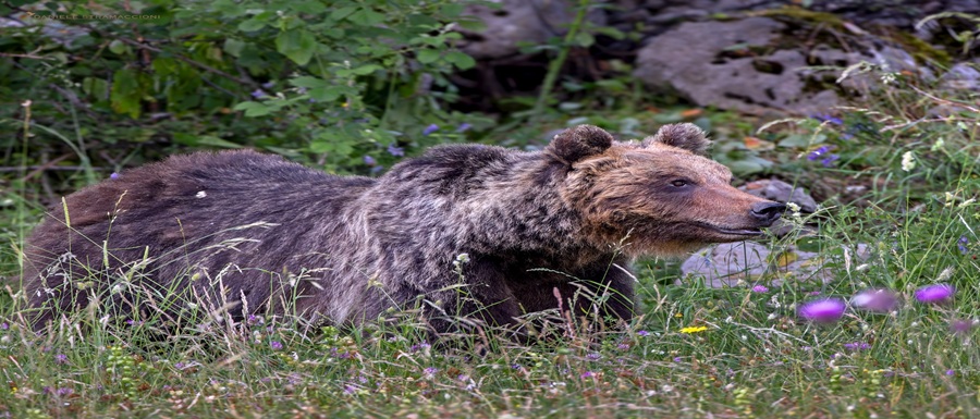 227a40bf-4468-72cb-8d38-e9c195cd630b