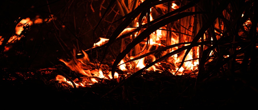 pexels-aviz-29463627