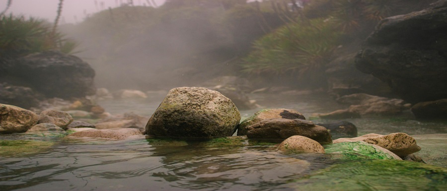 pexels-mateodavilah-15173240