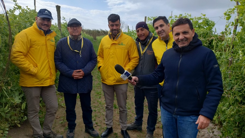 Delegazione Coldiretti Napoli e Caserta al Tg3  (2)
