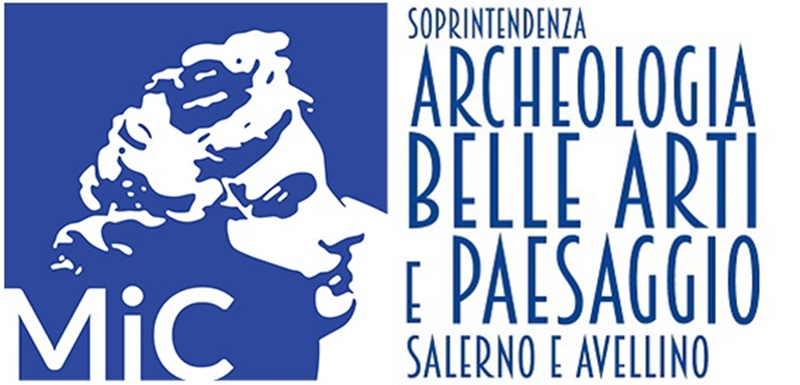 LOGO MIC_SA e AV