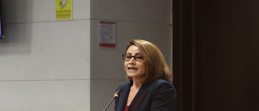 Foto Rostan consiglio 2